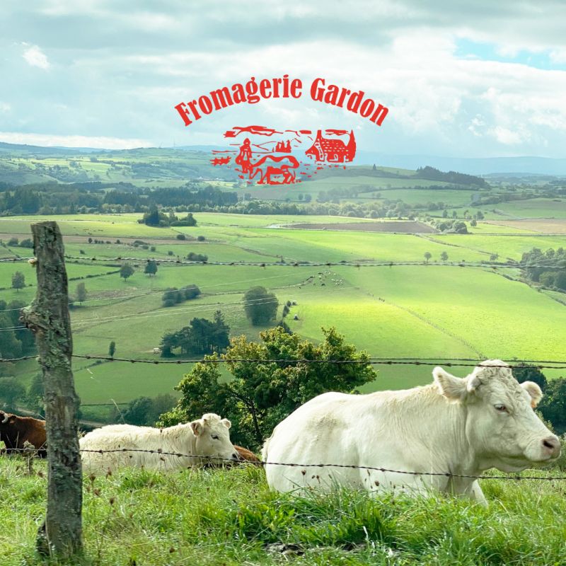 Fromagerie Gardon - paysage Cantal