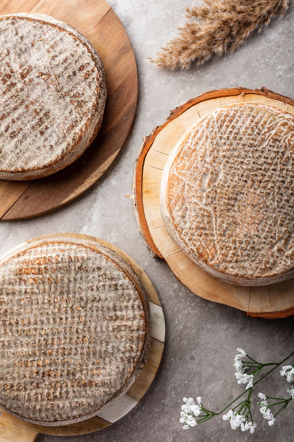 Quelle est la différence entre un Saint-Nectaire laitier ou fermier ?