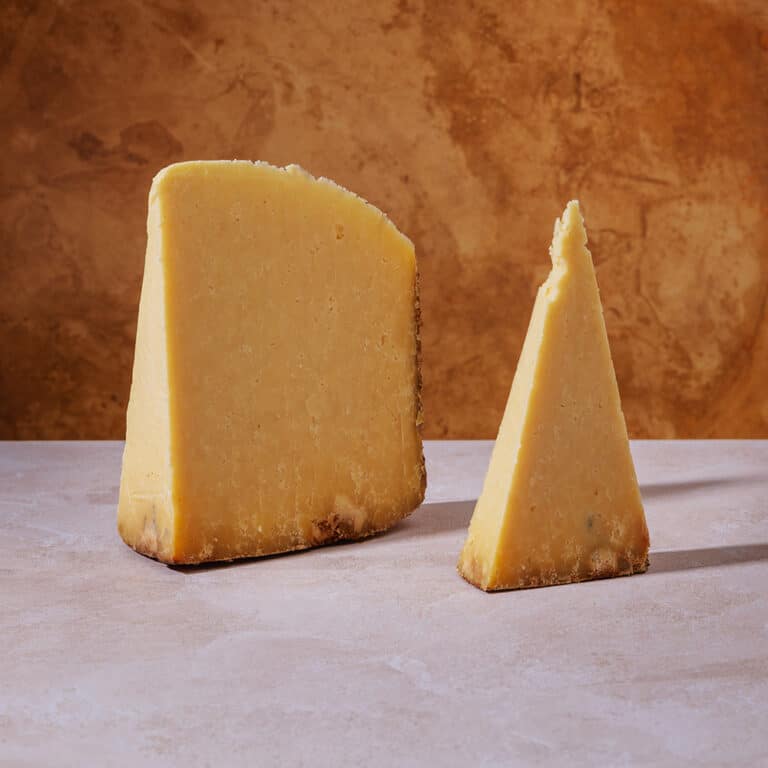 Qu’est-ce que le Salers ?