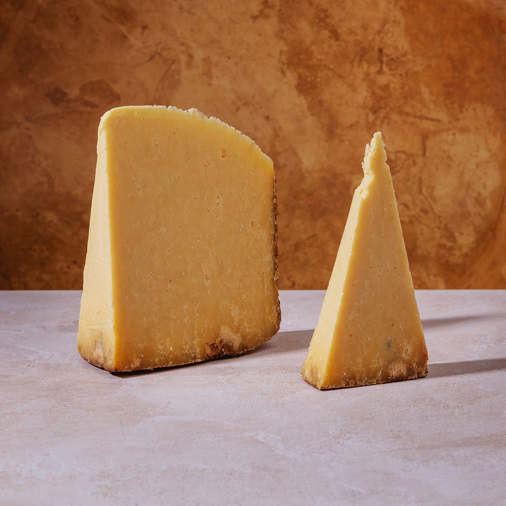 Qu’est-ce que le Salers ?