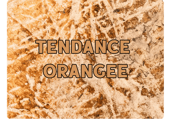 Croûte de Saint-Nectaire Fermier à tendance orangée